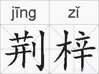荆梓的拼音