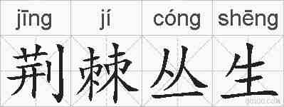 荆棘丛生的拼音