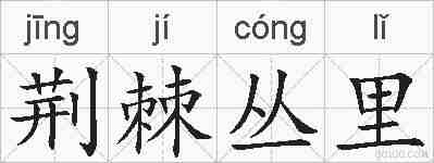 荆棘丛里的拼音