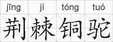 荆棘铜驼的拼音