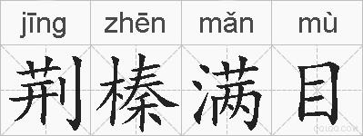 荆榛满目的拼音