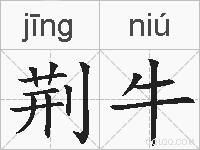 荆牛的拼音