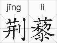 荆藜的拼音