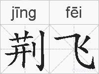 荆飞的拼音