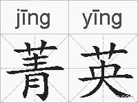 菁英的拼音