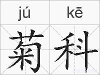 菊科的拼音