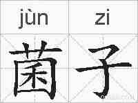 菌子的拼音