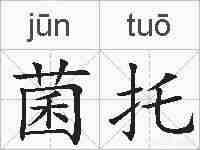菌托的拼音