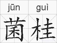 菌桂的拼音