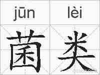 菌类的拼音