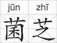 菌芝的拼音