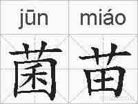 菌苗的拼音