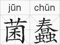 菌蠢的拼音