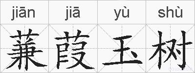 蒹葭玉树的拼音