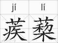 蒺蔾的拼音