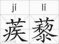 蒺藜的拼音