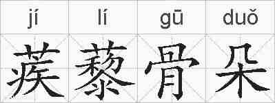 蒺藜骨朵的拼音