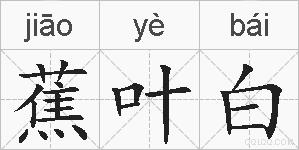 蕉叶白的拼音