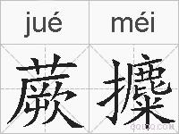 蕨攗的拼音
