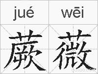 蕨薇的拼音