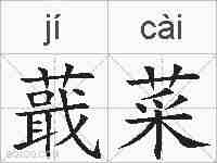 蕺菜的拼音