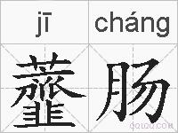 虀肠的拼音