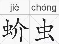 蚧虫的拼音