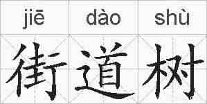 街道树的拼音