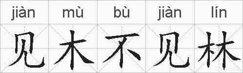 见木不见林的拼音