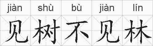见树不见林的拼音