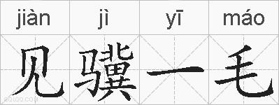 见骥一毛的拼音