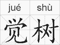 觉树的拼音