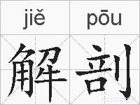 解剖的拼音