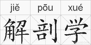 解剖学的拼音