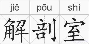 解剖室的拼音