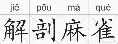 解剖麻雀的拼音