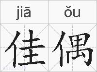 佳偶的拼音