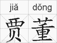 贾董的拼音