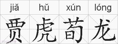 贾虎荀龙的拼音