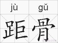 距骨的拼音