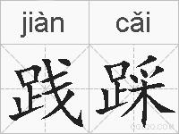 践踩的拼音