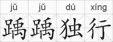 踽踽独行的拼音