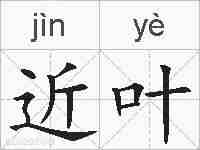 近叶的拼音