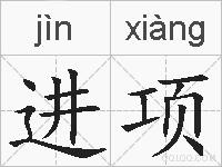 进项的拼音