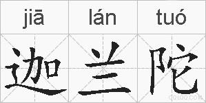 迦兰陀的拼音