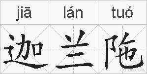 迦兰陁的拼音