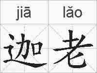 迦老的拼音