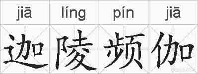 迦陵频伽的拼音