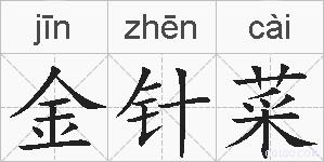 金针菜的拼音