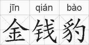 金钱豹的拼音